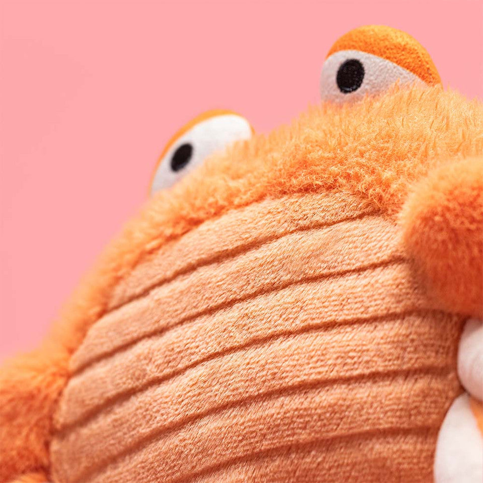 Teddy