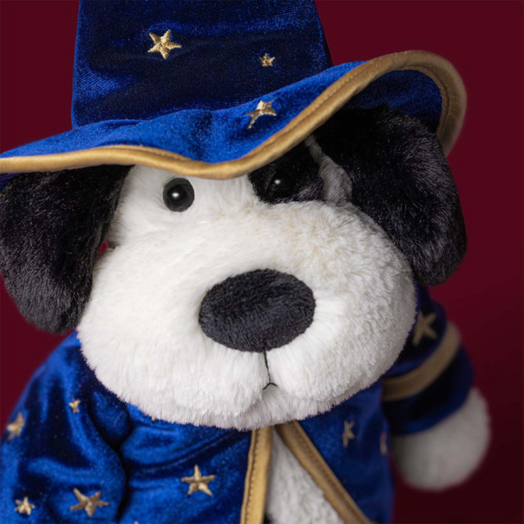 Teddy - 'Wizard'