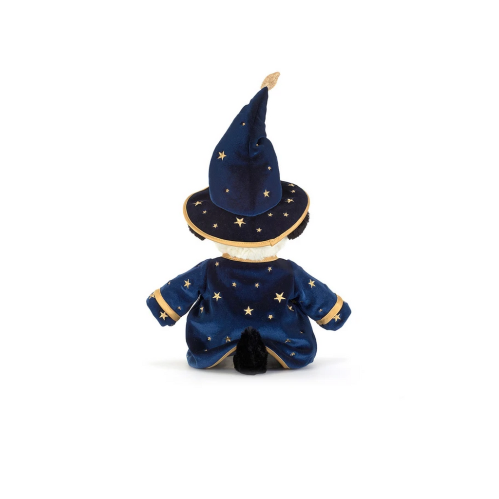 Teddy - 'Wizard'