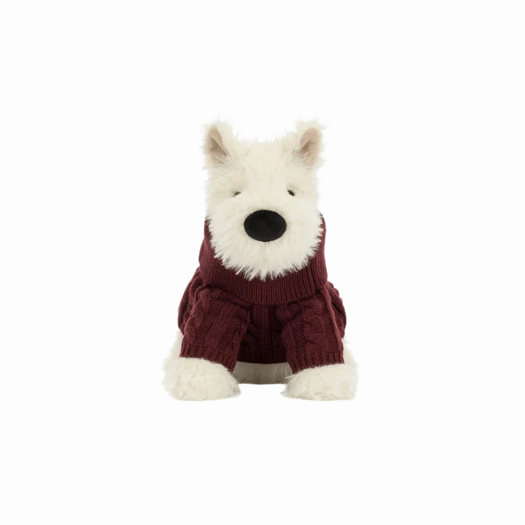 Teddy - 'Winter Jumper'